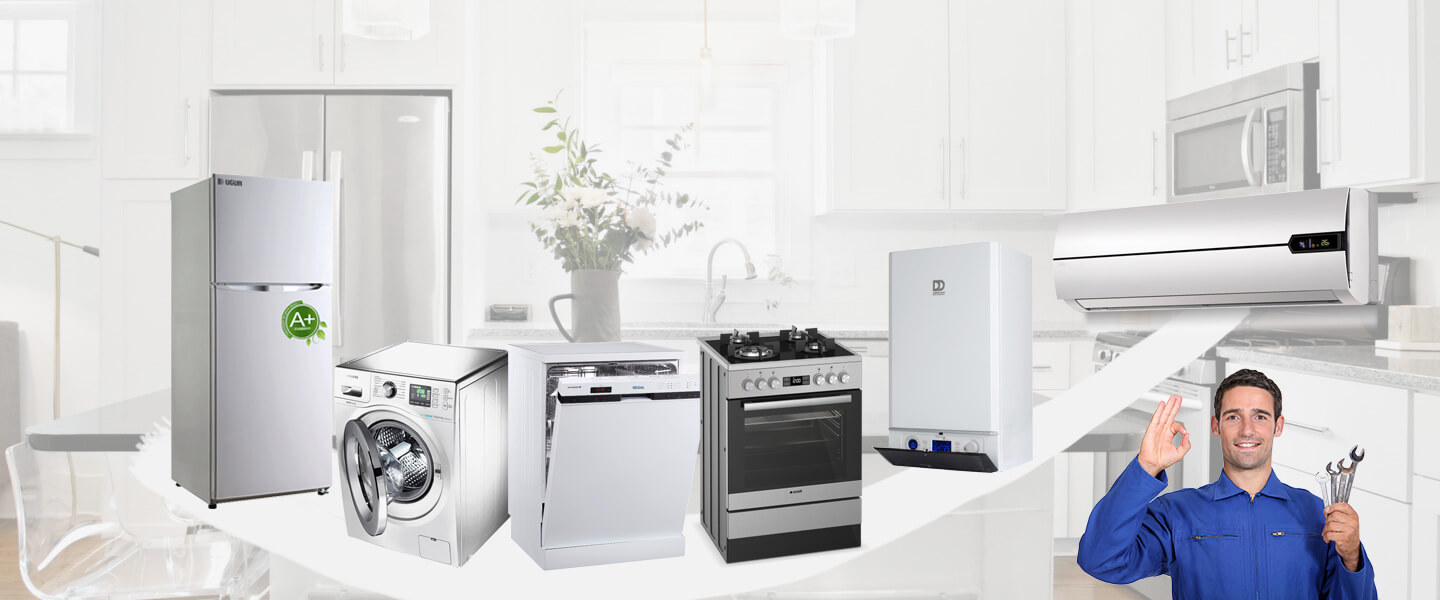 Düziçi Gorenje Servisi